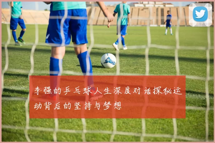 李强的乒乓球人生深度对话探秘运动背后的坚持与梦想