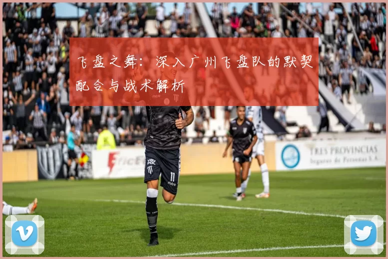 飞盘之舞：深入广州飞盘队的默契配合与战术解析