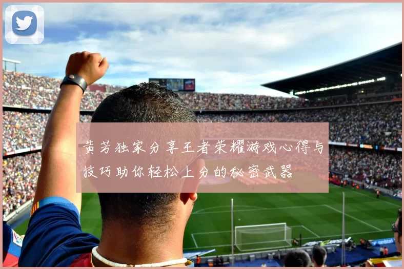 黄芳独家分享王者荣耀游戏心得与技巧助你轻松上分的秘密武器