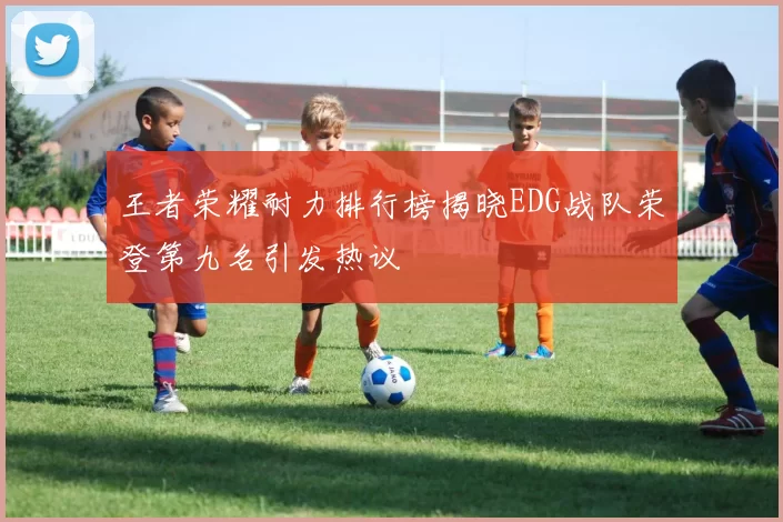 王者荣耀耐力排行榜揭晓EDG战队荣登第九名引发热议