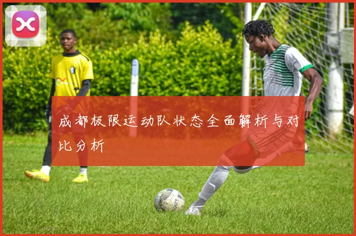 成都极限运动队状态全面解析与对比分析
