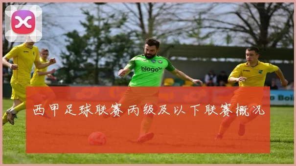 西甲足球联赛丙级及以下联赛概况