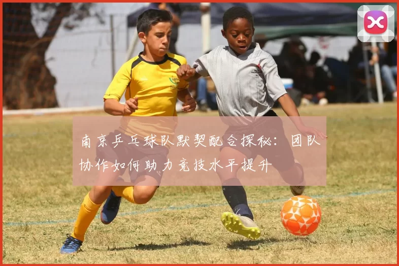 南京乒乓球队默契配合探秘：团队协作如何助力竞技水平提升