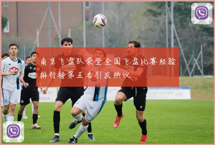 南京飞盘队荣登全国飞盘比赛经验排行榜第五名引发热议