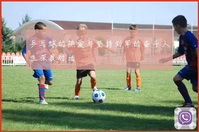 乒乓球的热爱与坚持刘军的奋斗人生深度对话