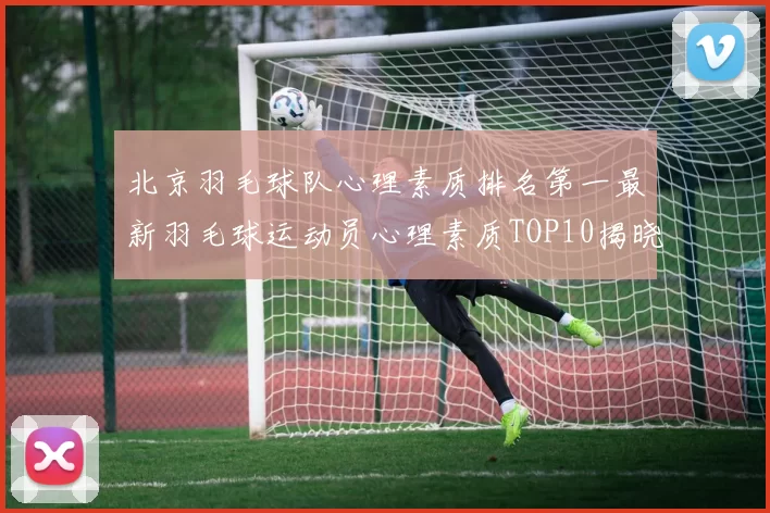 北京羽毛球队心理素质排名第一最新羽毛球运动员心理素质TOP10揭晓