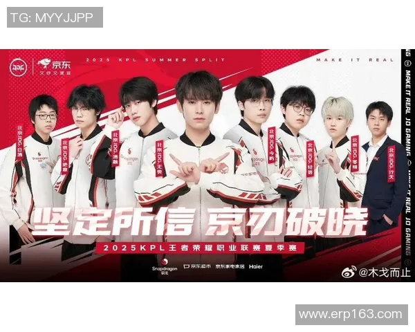 王者荣耀巨献：深入解析JDG战队的实力与战术魅力