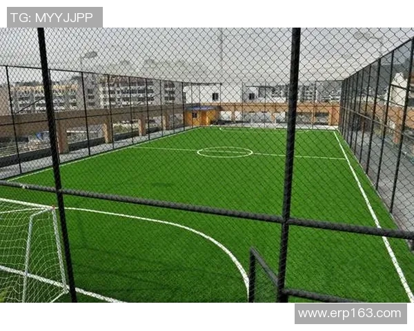 杭州滑板队个人能力深度解析与发展潜力探讨