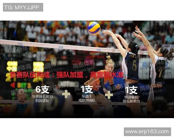 南京排球队技术表现深度分析与数据解读探讨
