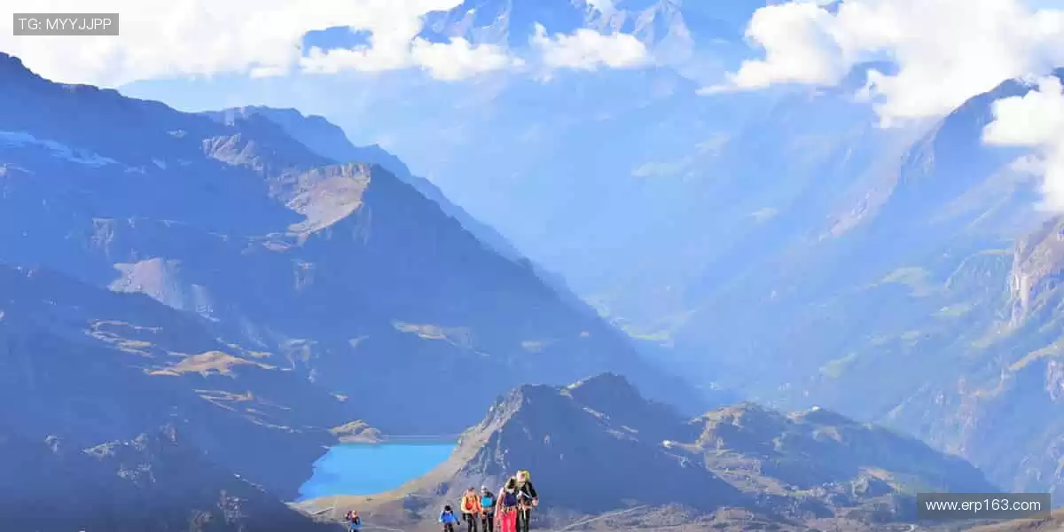 🏆 从看台到赛场，你的每一步都是传奇！🏃♂️